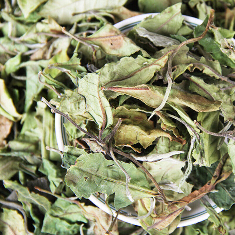 HelloYoung 500g Bulk White Tea Top Yunnan Big Leaf Honey Flavour White Tea Health