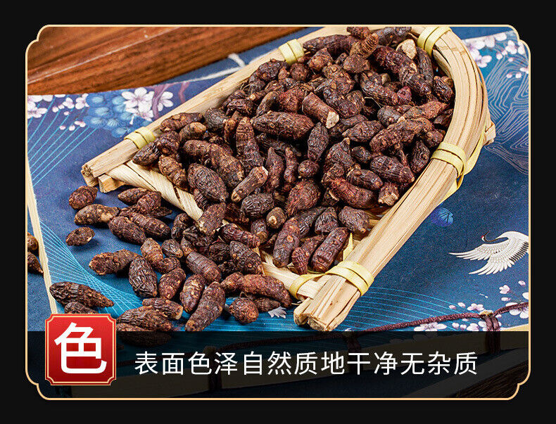 Cyperi Rhizoma Powder Chinese Herbal Medicine Prepared Powder