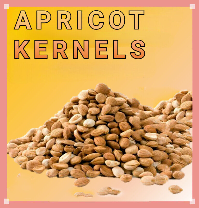 ✅Certified Organic Apricot Kernels Raw - Premium Grade