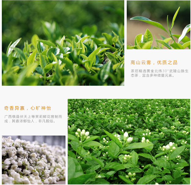HelloYoung 250g Chinese Organic Jasmine Tea Loose Leaf Natural Food Green Tea Flower Tea 茉莉