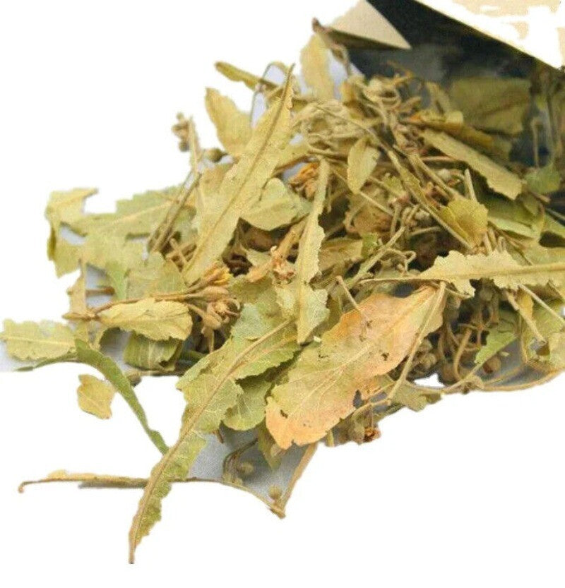 Natural Blossoms Tea Whole Tiliae Flores Dried Linden Flowers  Tea 250g