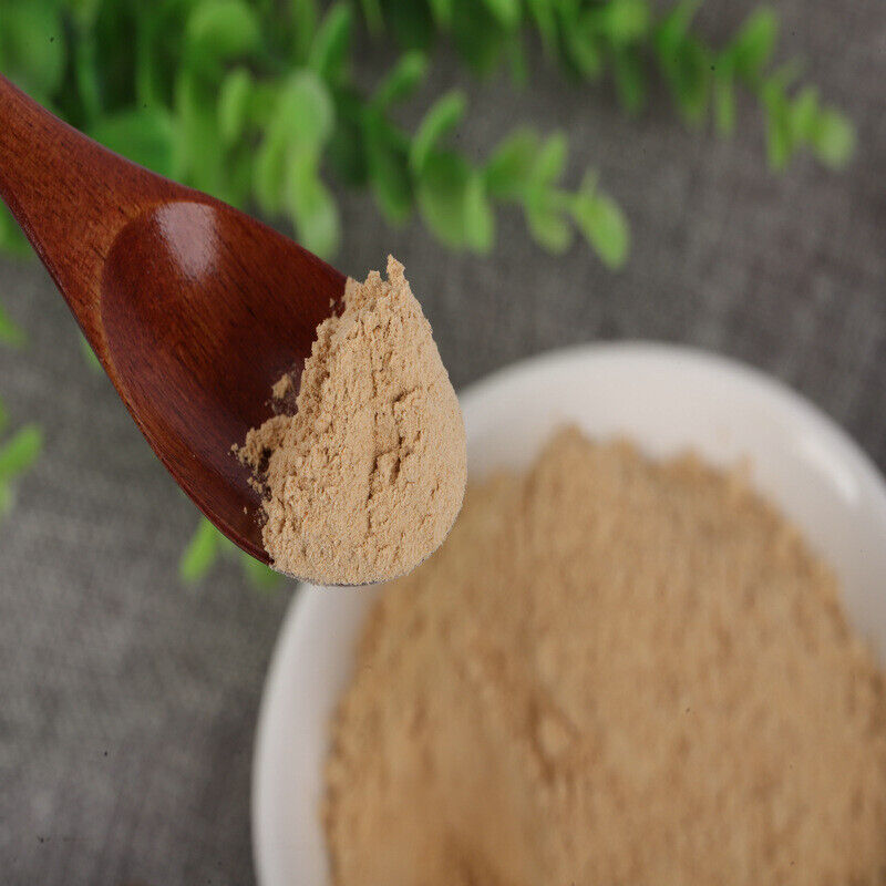 100% Pure Lion's Mane Mushroom Powder Meal Replacement Powder Freshly ground