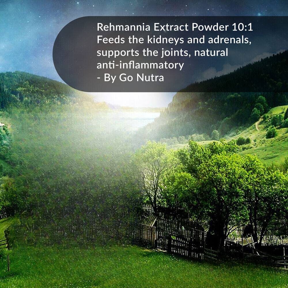 Rehmannia Root Extract Powder 8.8oz