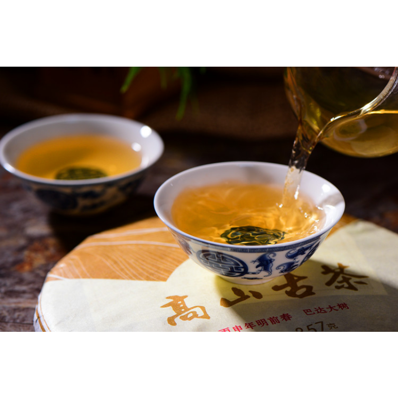 Organic Green Tea Spring Cha Tea High Mountain Ancient Tree Pu-erh Tea 357g