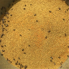 High Quality 100% Natural Bee Pollen 500g Chinese Herbs Harvest