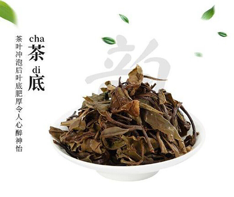 HelloYoung Alpine white tea Fuding white tea gongmei 5g a bubble old white tea cake 500g