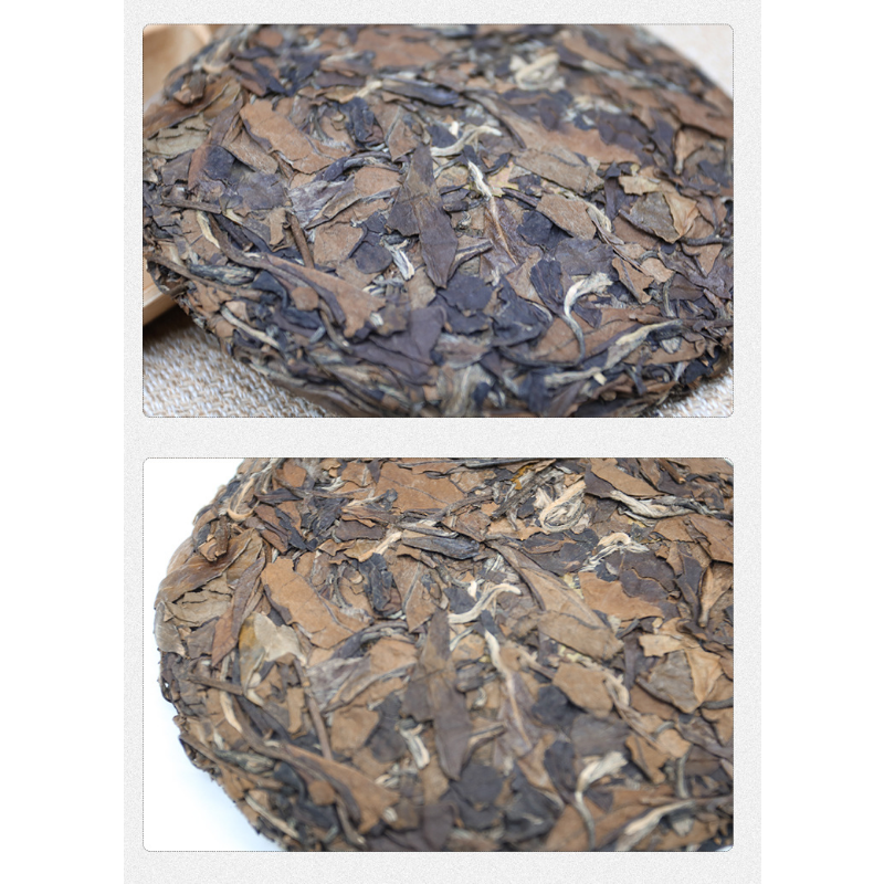 Alpine Sun Date White Tea Fuding White Tea 100g*3 Shou Mei Tea Cake