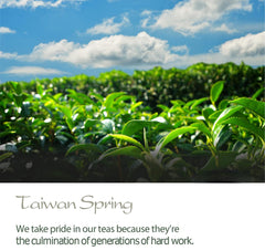 Taiwan High Mountain Green Tea - 100g