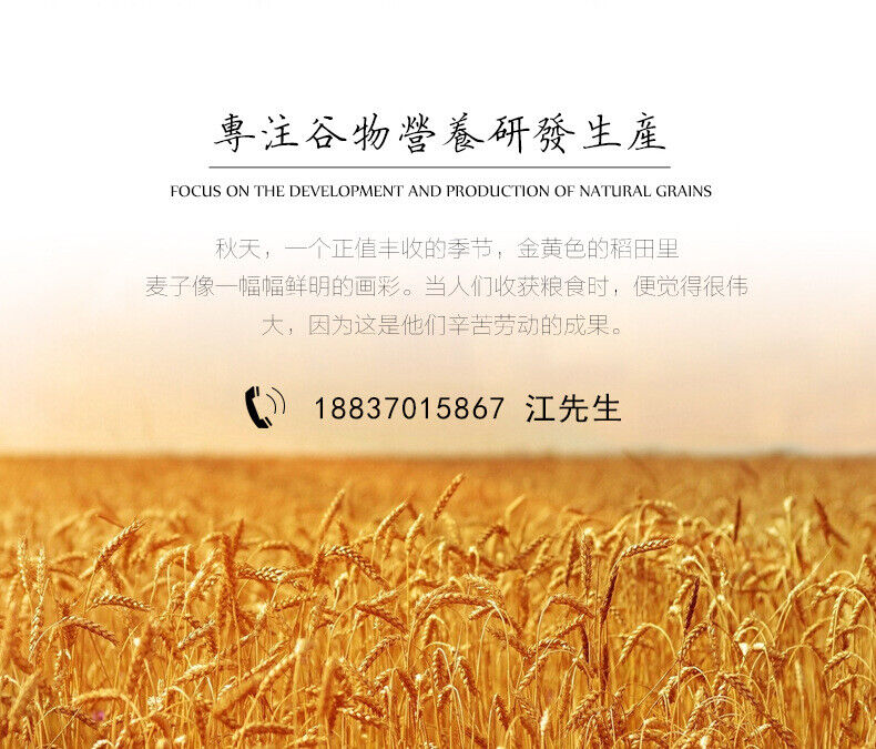 Cooked Peanut Powder Ready-to-eat Stir-fried Baked Meal Replacement Powder 500g