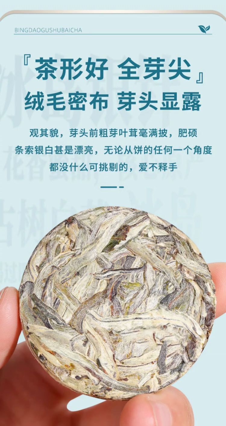 Thé blanc Pu'er brut au clair de lune d'Islande aiguille en argent Pekoe