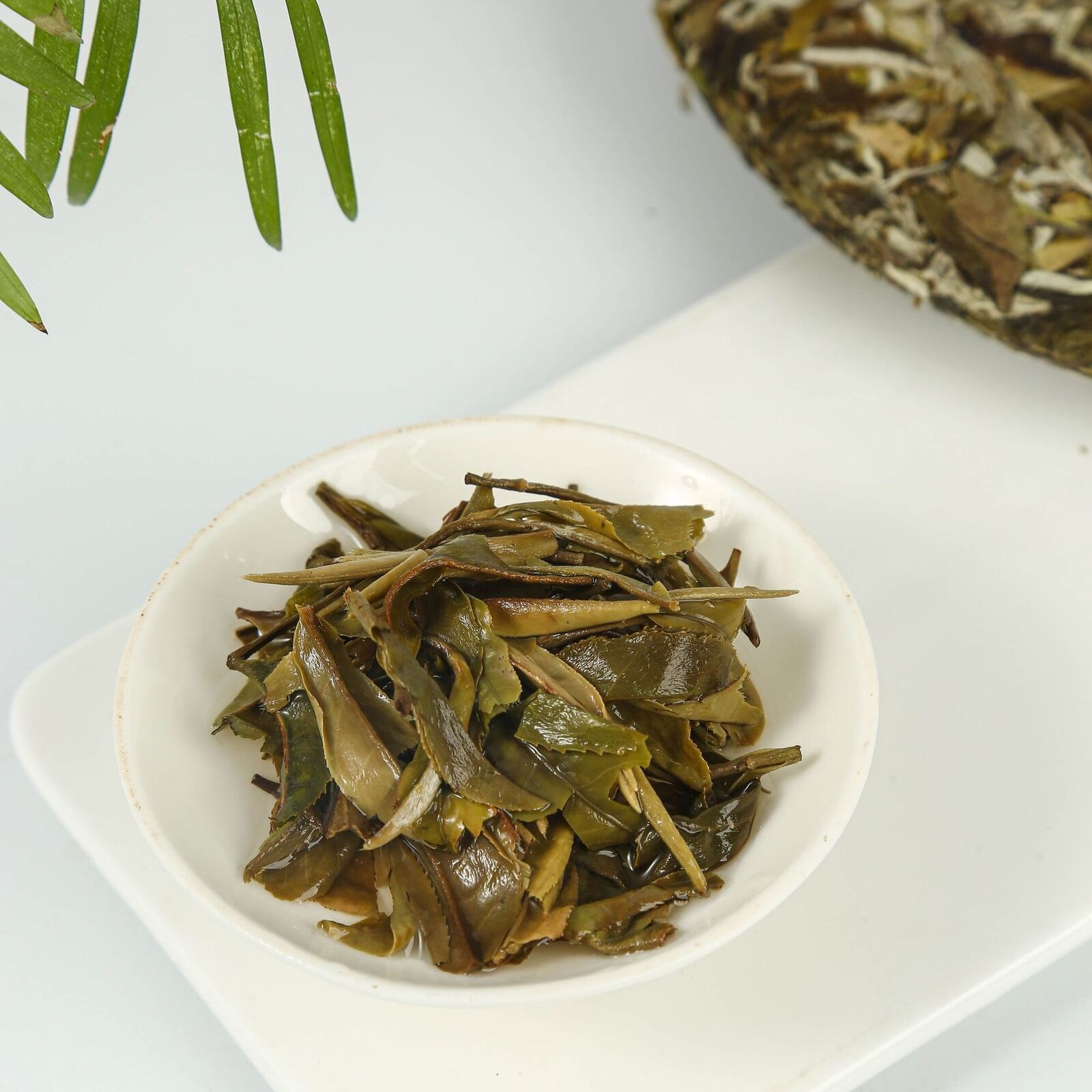HelloYoung Fuding white tea peony flowers fragrant hairs alpine old white peony tea cake