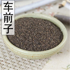 250g Plantago Asiatica Seed 车前子 Che Qian Zi Plantain Seed Psyllium Seed Natural