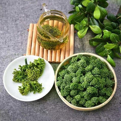 Premium Quality Wild-Harvested Handpicked Dried Sanchi Flower Tea 500g