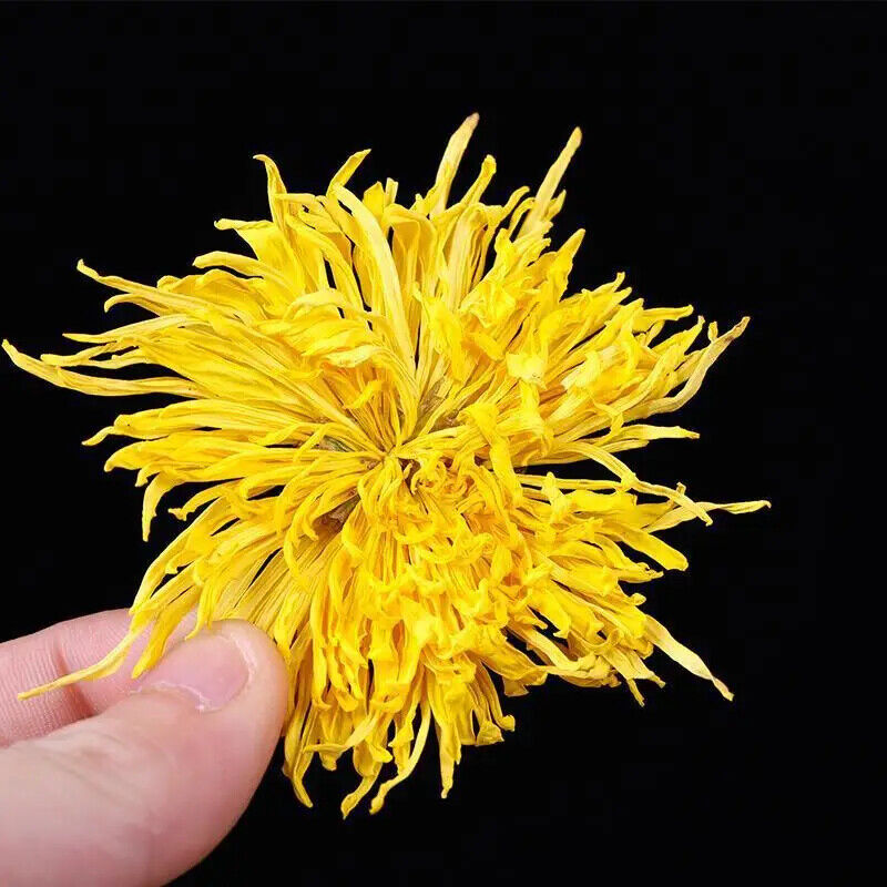 Chinese Big Golden Chrysanthemum Flower Tea Healthy Dried Flower Tea Ju Hua Cha