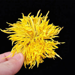 Chinese Big Golden Chrysanthemum Flower Tea Healthy Dried Flower Tea Ju Hua Cha