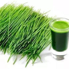 HELLOYOUNG Pure Fresh Green Barley Grass Powder 1KG -100% Pure, TOP Grade