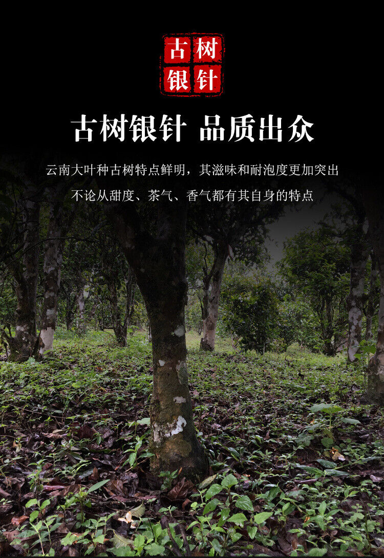 HelloYoung 500G Yunnan Baihao Longzhu Ancient White Tea White Buds Spherical Handcrafted