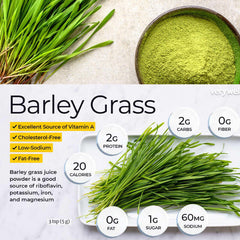 Super Greens Powder 250g 34+ Super Foods Spirulina Chlorella Barley Grass