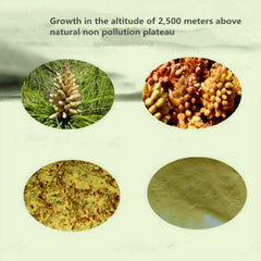 HelloYoung Wild Harvested Shell-broken Pine Pollen Powder 99% Crack Certificated 3 bags*50g