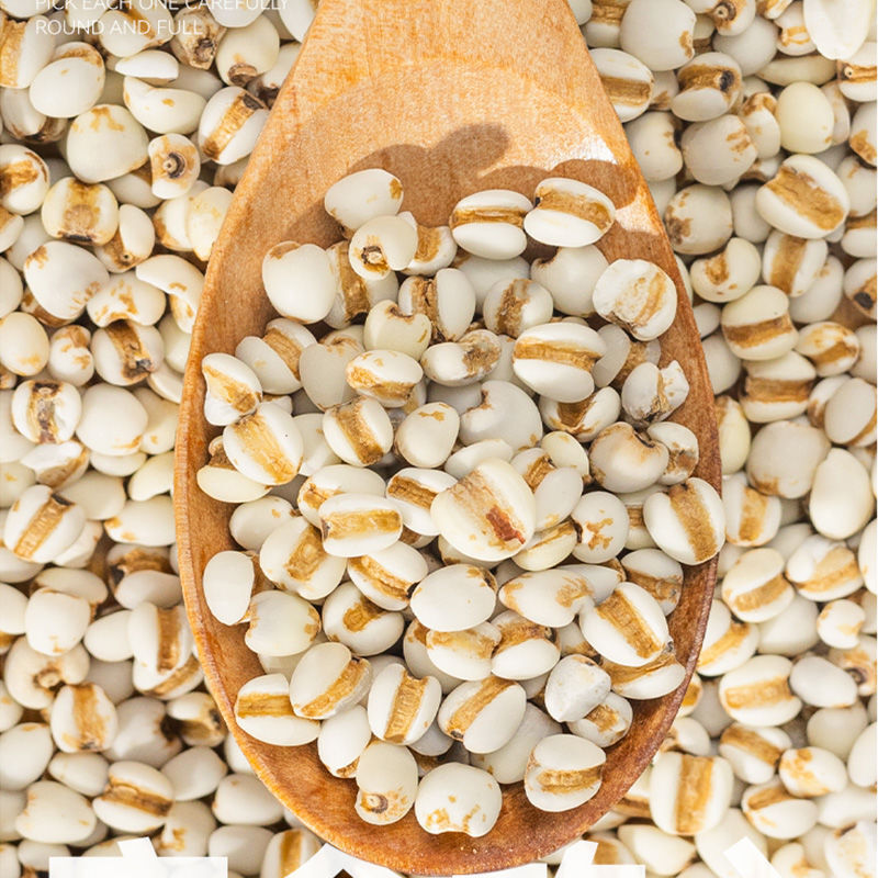 500g Job’s Tears (Coix Seeds) - Whole Grain for Tea & Porridge