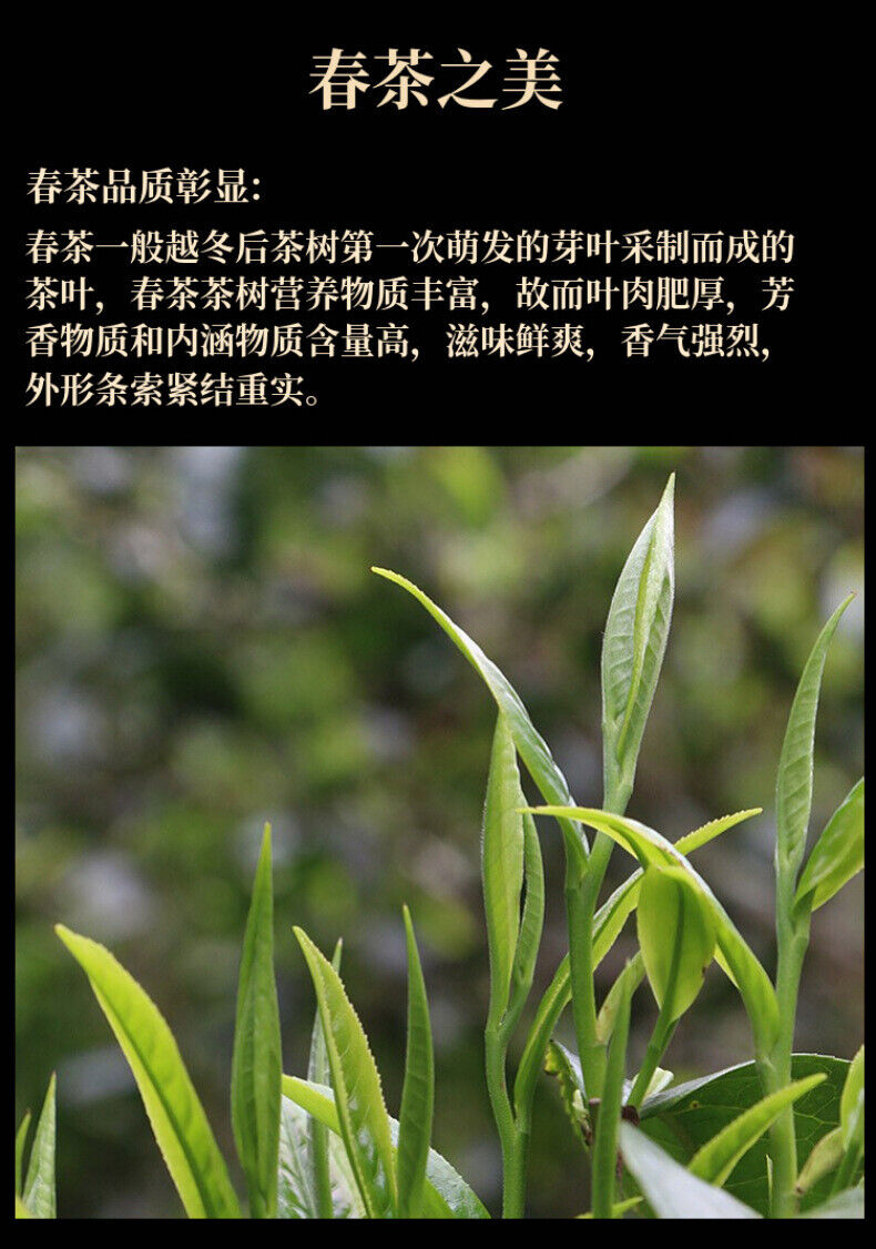 Brown Head Spring Big Tree Pu'er Tea Raw Tea Seven Seed Puerh Cake Tea 357g