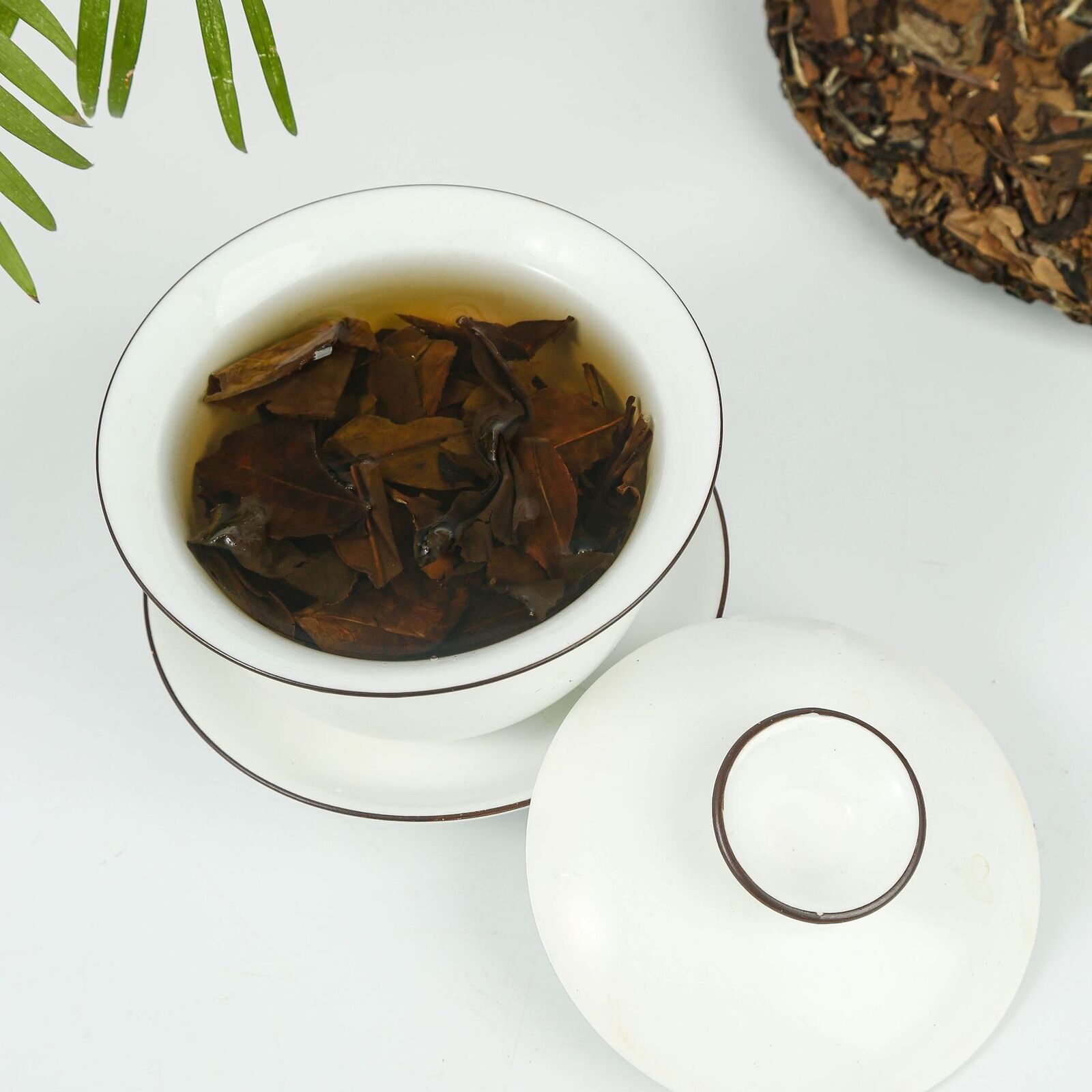 HelloYoung 350g Old white tea fuding white tea white peony gongmei tea shoumei tea cake