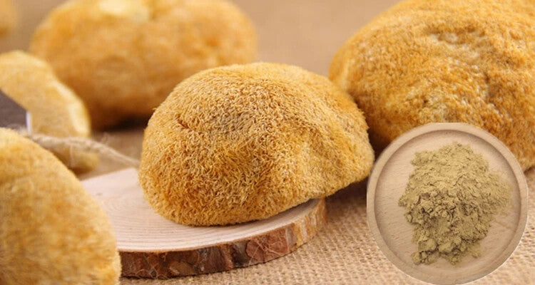 Bulk Mushroom Lions Mane Dual Extract Powder With Best Price 250g