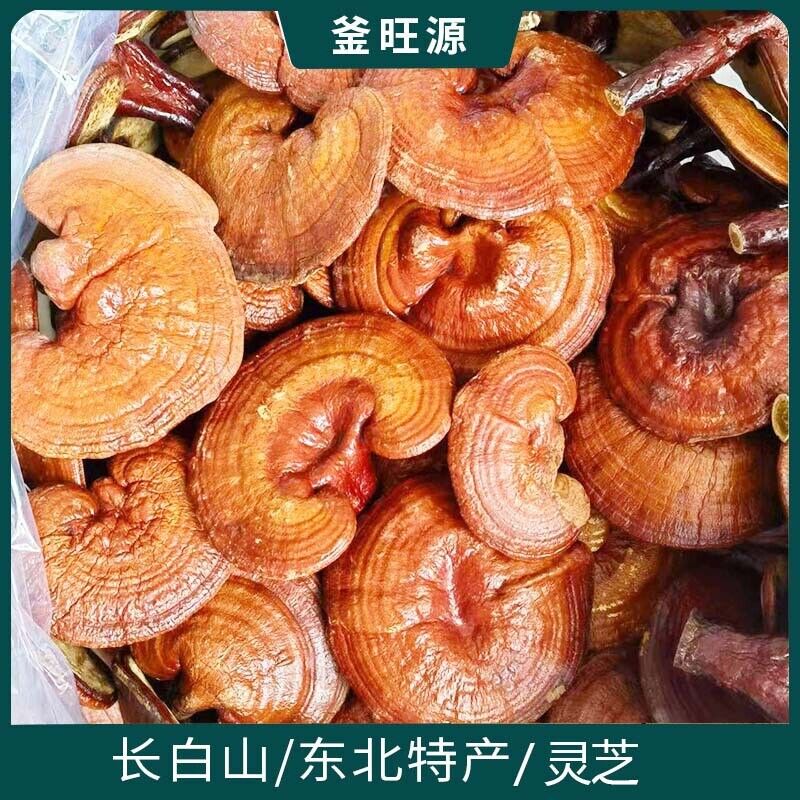Changbai Mountain Ganoderma Lucidum Red Lingzhi Purple Lingzhi Edible Fungi 500g