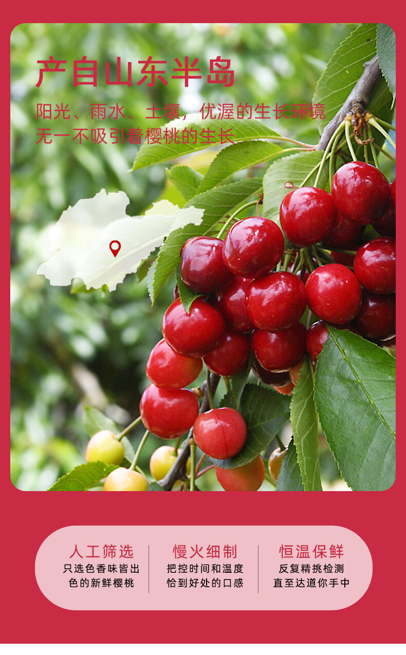 Dried Sweet Sour Cherries Fresh Cherries Dried Fruits Snacks Baking Ingredients
