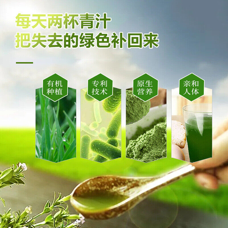 Wheatgrass Powder, Barley Green Juice Powder Pure Organic Barley Grass Powder