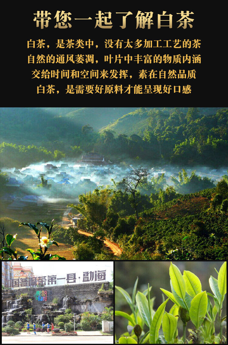 HelloYoung Yunnan Menghai high mountain tea hand broken tea Shou Mei old white tea 12.6oz