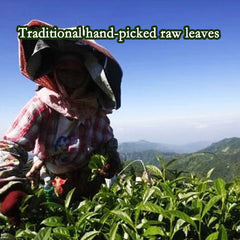 Milk Oolong Tea Jinxuan Oolong Tea Milk Green Tea Organic Loose Leaf Tea 250g
