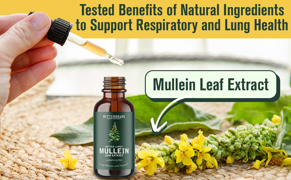 Mullein Leaf Extract Drops Health Care All-natural Ingredients