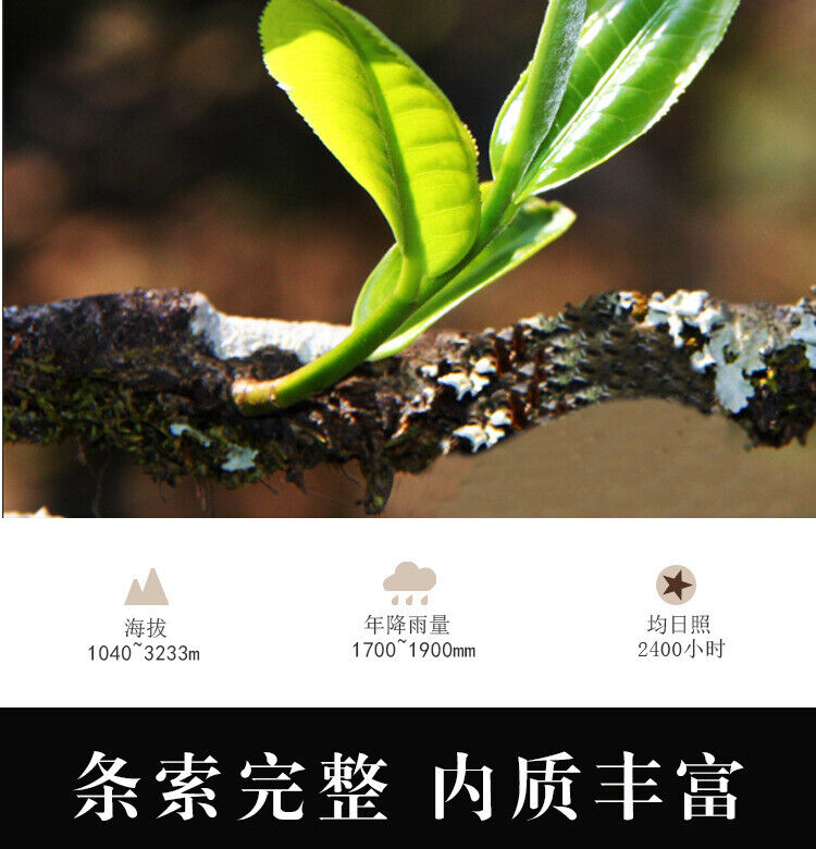 HelloYoung 357g Yunnan Ancient Tree Xiaoduosai White Tea Alpine Sun-Dried White Tea Cake