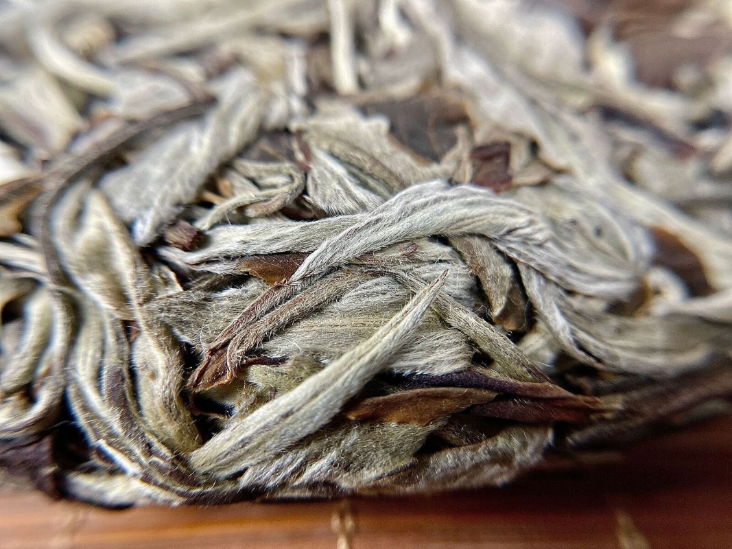 HelloYoung Yunnan Moonlight White Tea Cake White Peony 357g