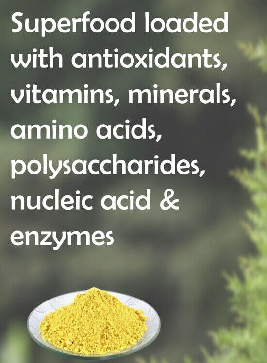 Pine Pollen Powder Cracked Broken Cell Wall 8.8oz