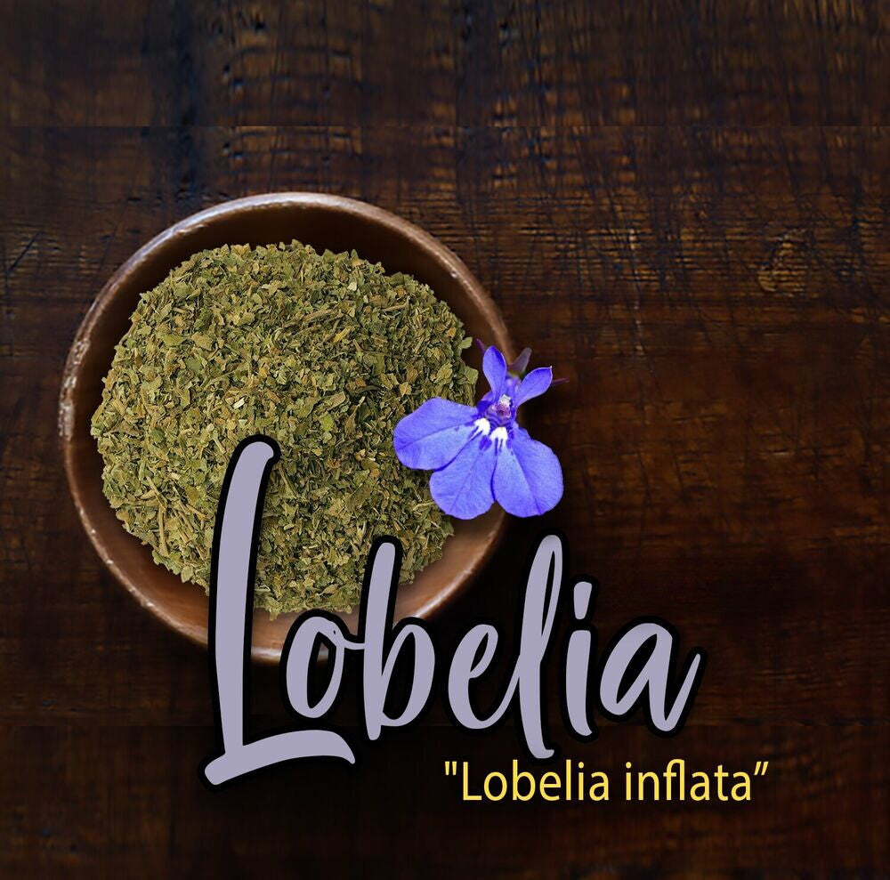 Lobelia Herb Dried Lobelia inflata 500g Apothecary Herbal
