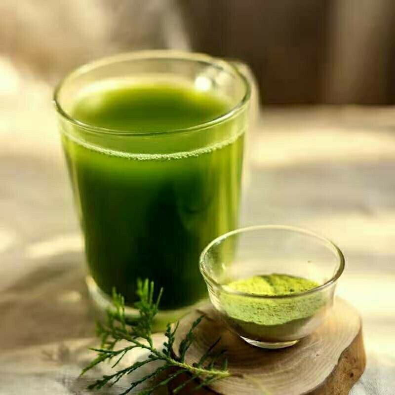 Barley Grass Powder Pure Organic Natural