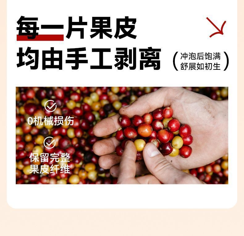 Handpicked Yunnan Arabica Coffee Cherry – Dried Whole Fruit Tea