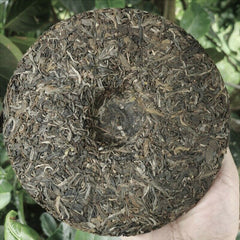 357g Hohe Qualität Cha Tee Zhonghong Yin Ma Hei Antiker Baum Top Grade Pu'er Tee