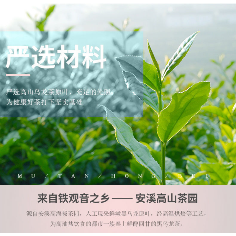 250g/8.8oz Box Black Oolong Tea Premium Oolong Tea for Slimming Tea