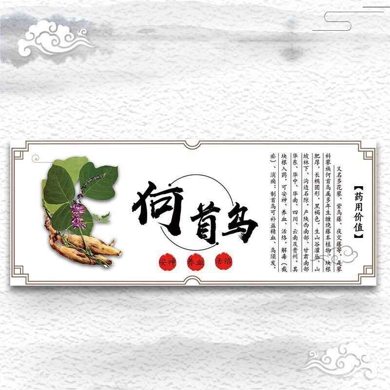 Natürliches He Shou Wu Fo-ti Zubereitetes Polygonum Multiflorum WildesPulver250g