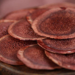 High Quality Cartialgenous Slices Lu Rong Herb for Men Chinese Herbal Medicine