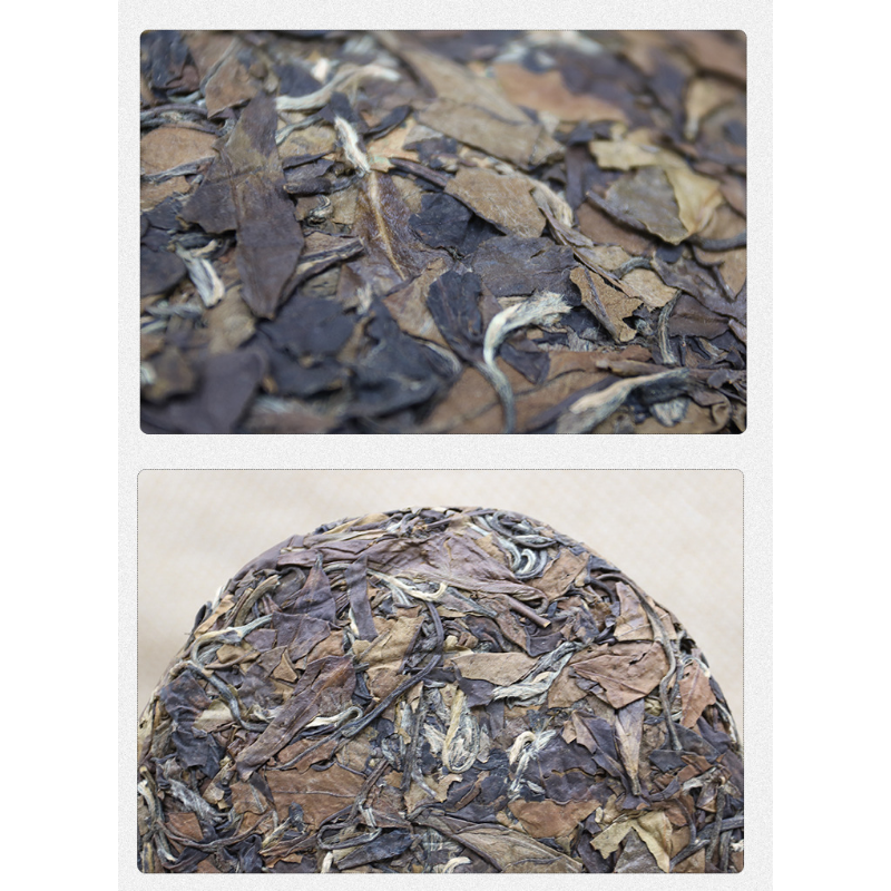 Alpine Sun Date White Tea Fuding White Tea 100g*3 Shou Mei Tea Cake