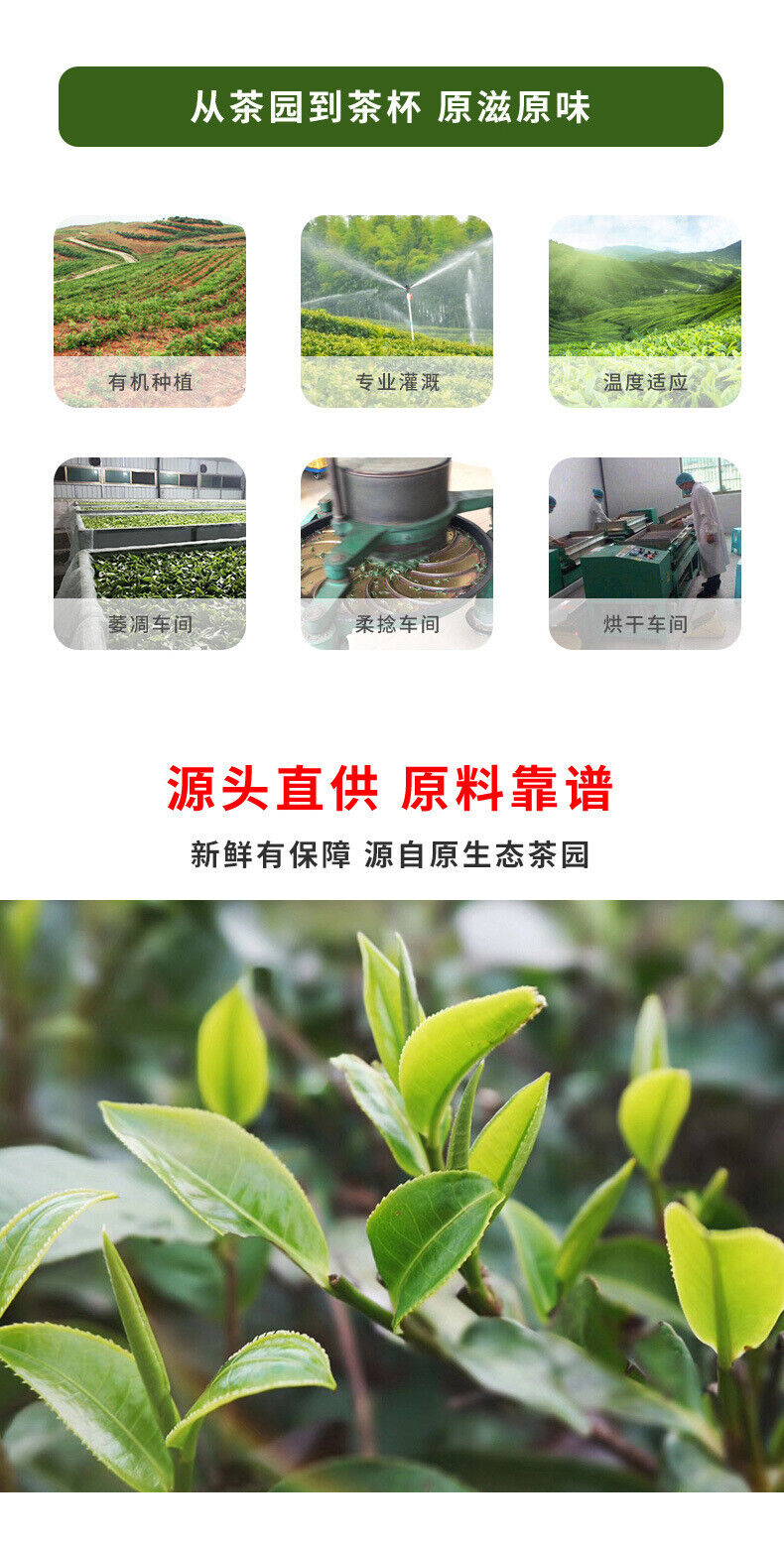 Thé noir Yingde Yinghong n°9 Thé noir à saveur forte en conserve 125G