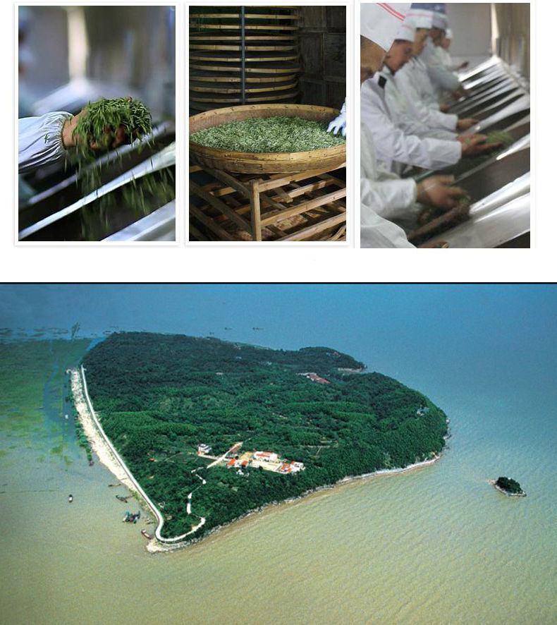 Yellow Tea Junshan Tea Xiangdao Brand Junshan Silver Needle Tea 50g - 100g Tin