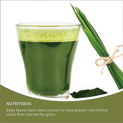Organic Young Barley Grass BARLEYGRASS Powder Weight Loss Green Superfood Detox