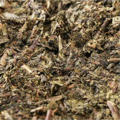 300g Special Made Yiyang Anhua Dark Tea Hei Cha Fu Tea Brick Hunan Fu Tea Fucha