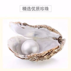 Pearl Powder Fine Powder Freshwater Pearls Whitening Facial Mask Powder