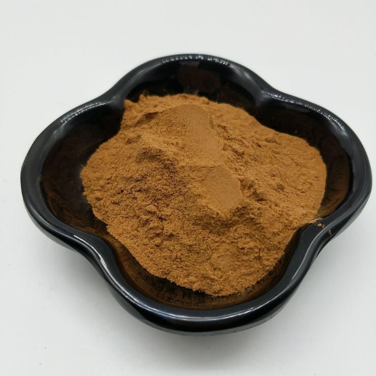 100g 30% Polygala Tenuifolia Root Extract Powder Wild Polygala polysaccharides